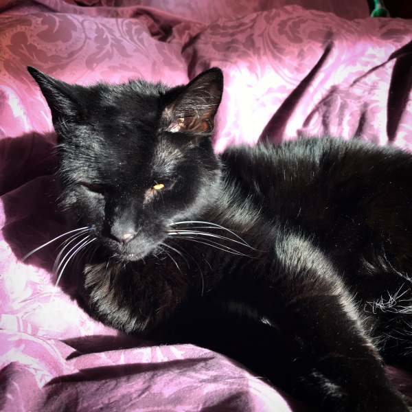 Thread 1 - Lifeboat Muster Point for TalkExiles