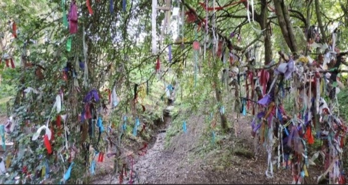 Weird dolls hanging on neighbours tree?