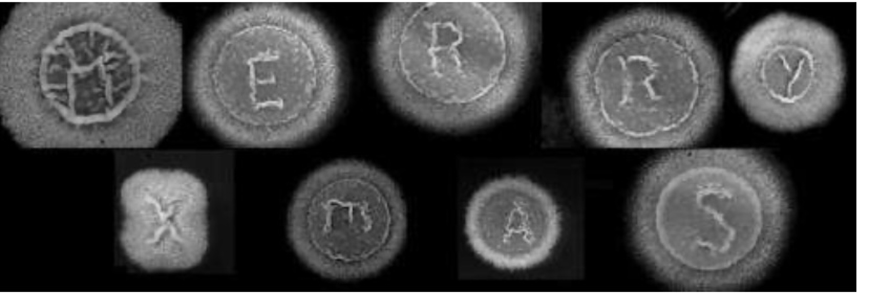 Thread 3 - TalkExiles: "The Planet Goes On Being Round"