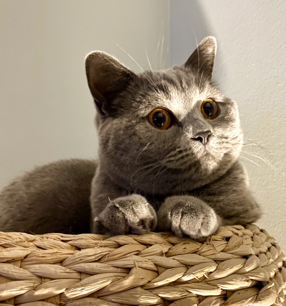 Thread 3 - TalkExiles: "The Planet Goes On Being Round"