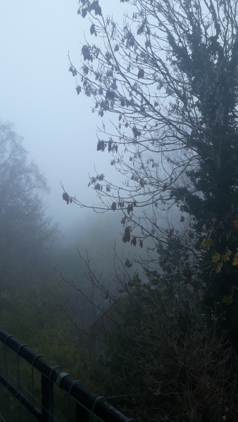 Lifeboat Muster Point for TalkExiles - Thread 2