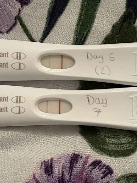 IVF Oct/Nov