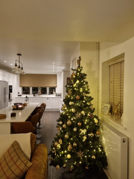 Please can i see your Christmas  trees
