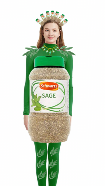 Sage green dress drama - Bride
