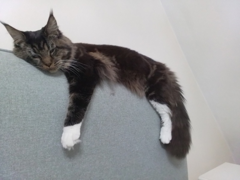 Come and tell me your dull and unexciting news 24: Calmly through the day 