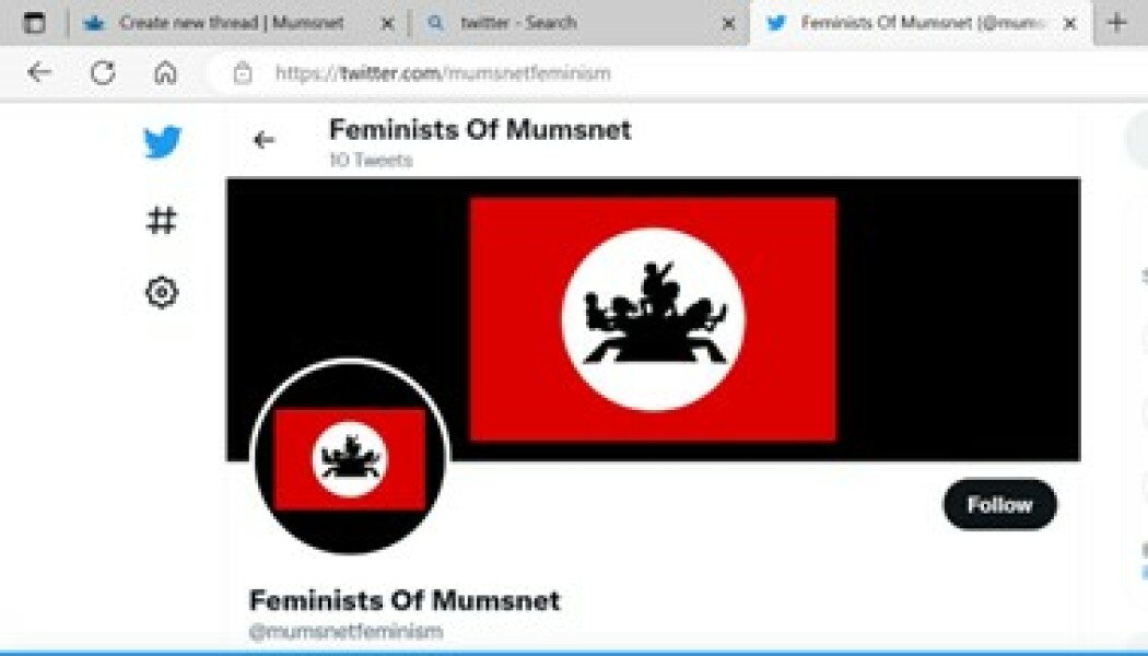 Fake MN Feminist Account on Twitter