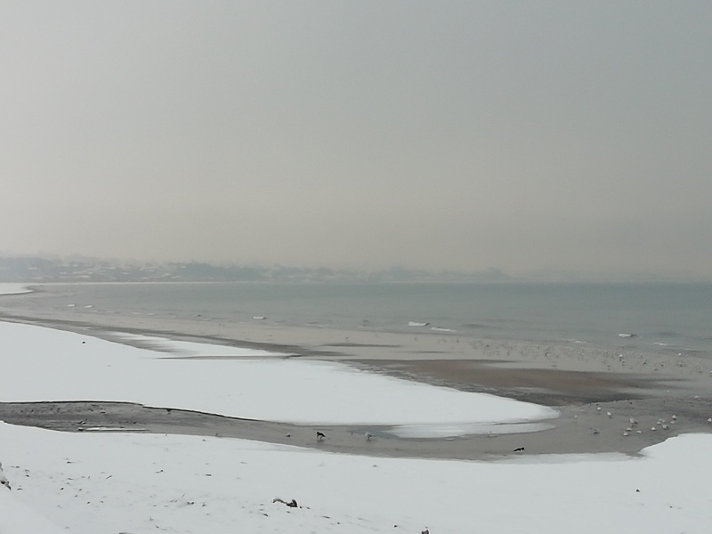 Winter Weather outlook