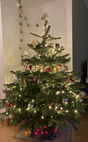 The Christmas Chronicles by Nigel Slater. Read Along Thread 2022 PART 2
