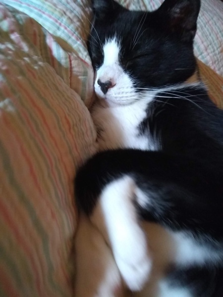 Lifeboat Muster Point for TalkExiles - Thread 2