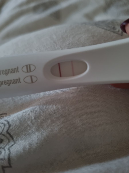 Due August 2023 (Thread 2)