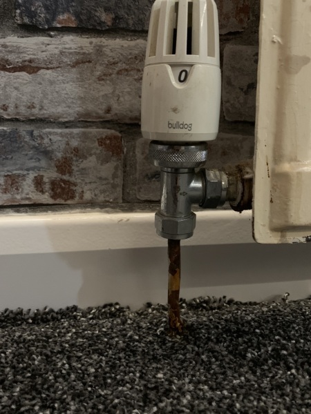 Radiator leaking on new carpet - help!