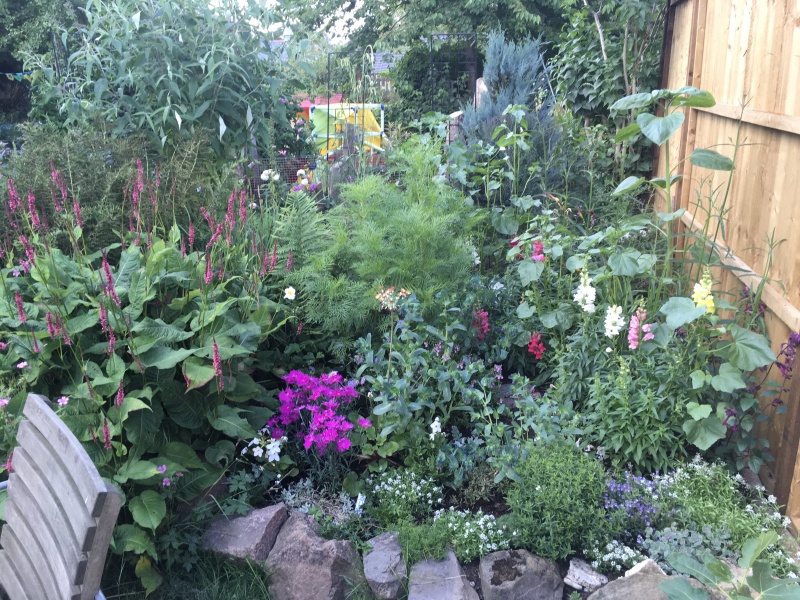 North-facing garden.... would you?