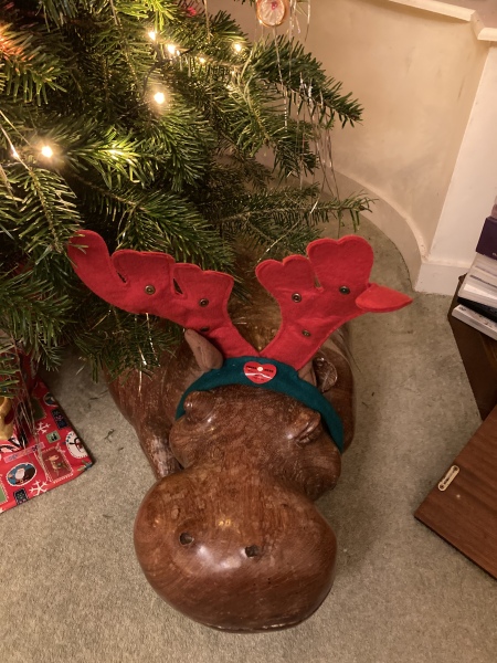 Festive icks