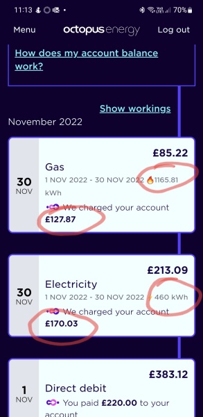 Early Nov-early Dec gas & electric bill