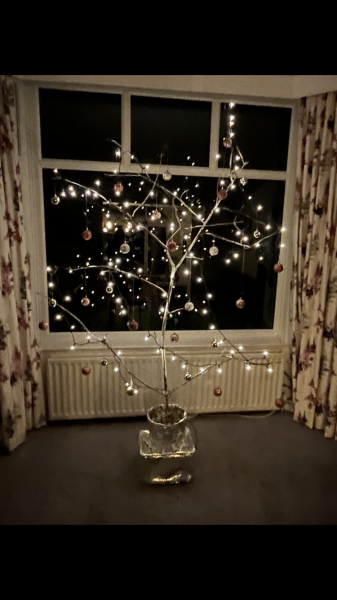 Love the idea of a real tree, hate the idea of killing/wasting trees 