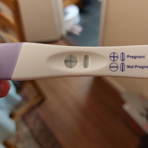 Due August 2023 (Thread 2)