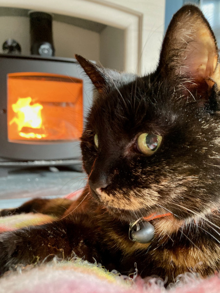 Lifeboat Muster Point for TalkExiles - Thread 2