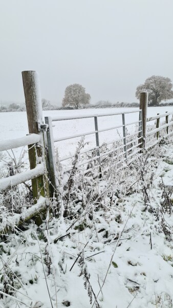 Winter Weather outlook
