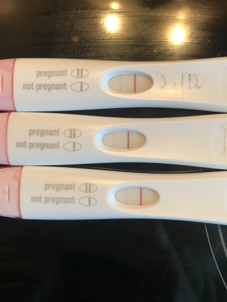 Pregnant or miscarriage hormones? Positive test after negative test.