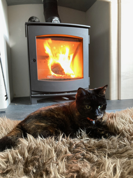 Thread 1 - Lifeboat Muster Point for TalkExiles