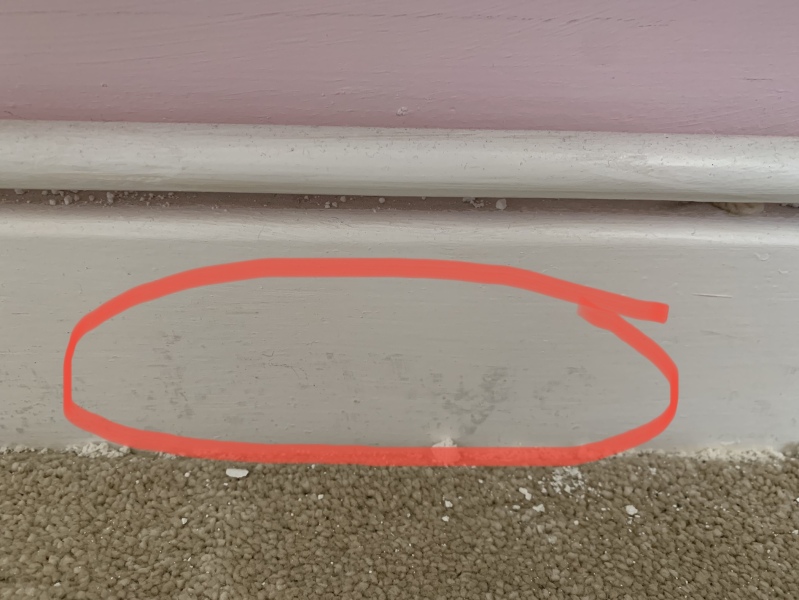 Is this mould?