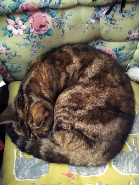 Thread 1 - Lifeboat Muster Point for TalkExiles