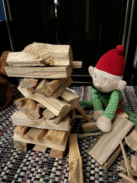 A thread to share our Elf Pics