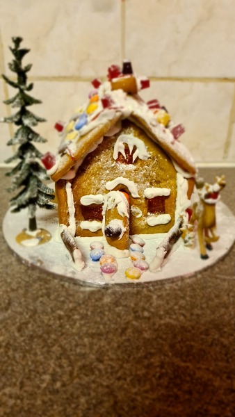 Anyone want to share gingerbread house pics? 