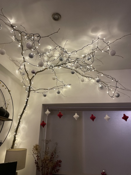 Show me your Christmas tree / decorations please. In need of inspiration