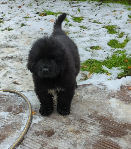 MsLatté’s Daebak Cybercafé (Kdrama addicts #37): The one where FedUp’s big birthday could tip her into ajumma territory. Thankfully filthy noona status is forever.