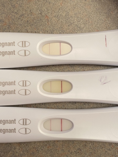 Pregnancy test line progression/ negative tests