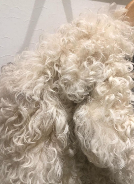 Is (vintage) shearling considered fur/cruelty to animals? 