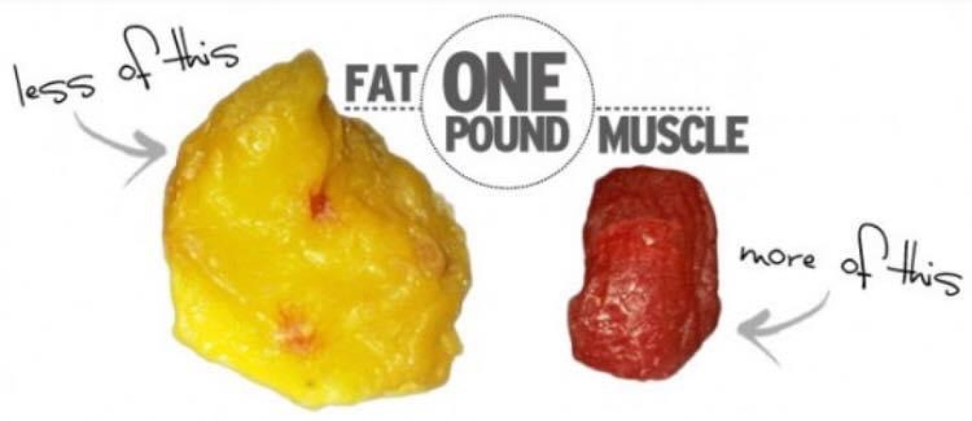 Why am I not losing weight?