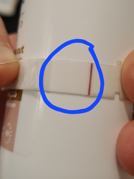 All I want for Christmas is a BFP- TTC September baby 🍁