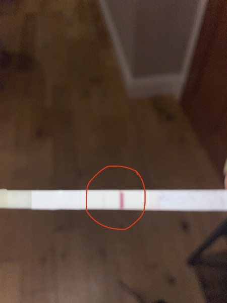 Is this a positive? Or evaporation line?