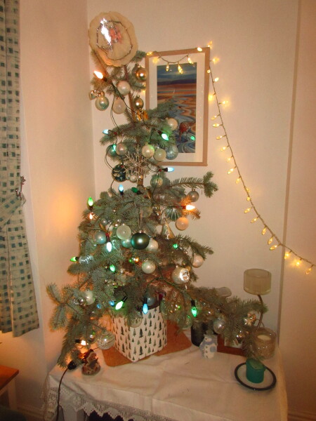 It's the start of advent for the Playmobil people in our house...