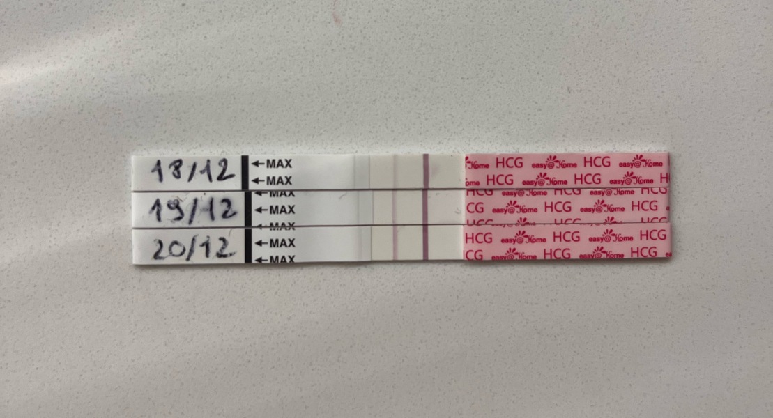 Due August 2023 (Thread 3)