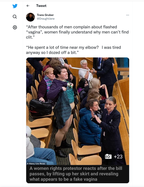 Police investigate 'flasher' gender recognition reform protester