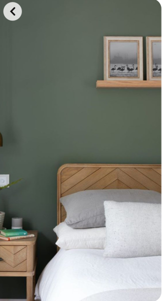Can anyone recommend a green paint? 