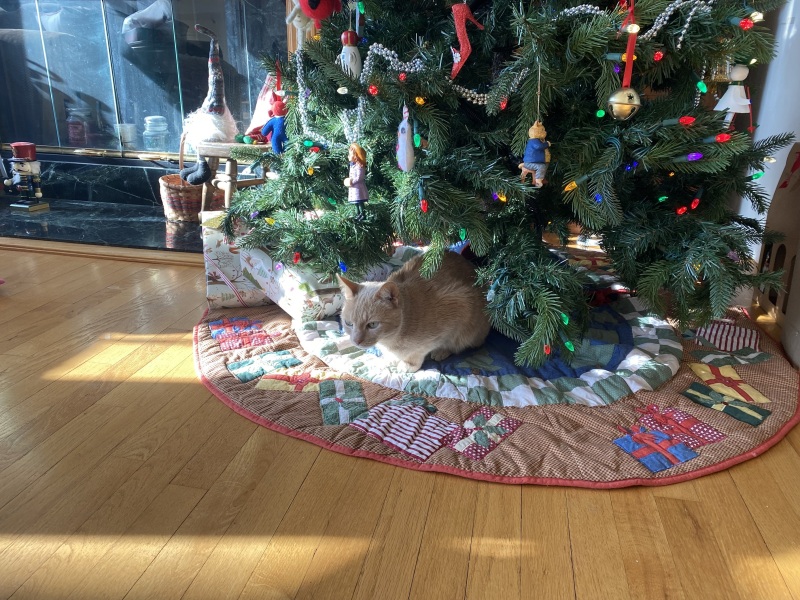 Come and tell me your dull and unexciting news 24: Calmly through the day 