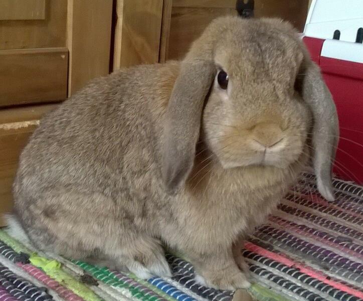 What was the best or most memorable present you were ever given ?