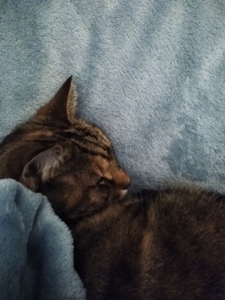 Lifeboat Muster Point for TalkExiles - Thread 2