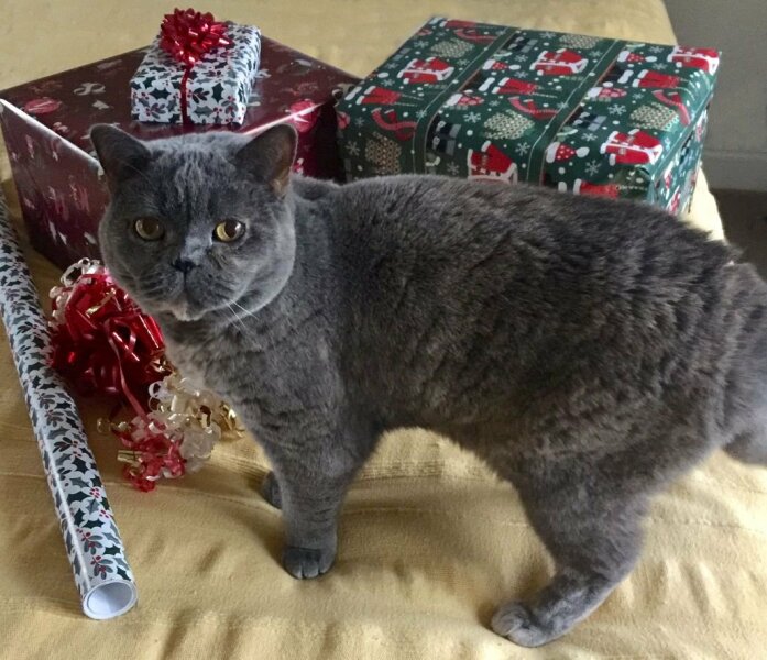 Swagger Inn 173 - Winter is coming, wrap up in someone warm.