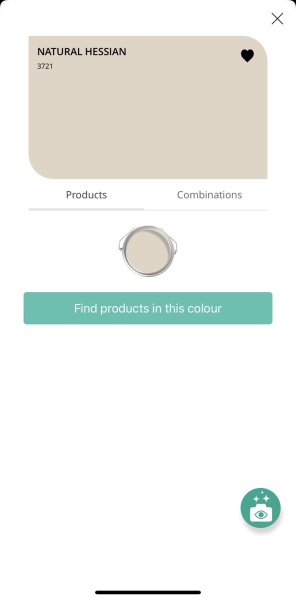 Paint - cheaper alternative