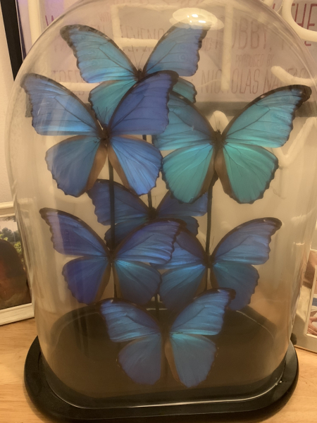 Worst/strangest presents you've received from your other half
