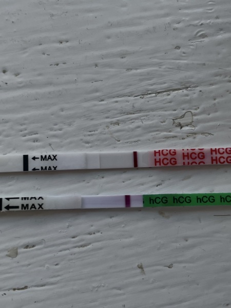 Lines don't seem to be changing