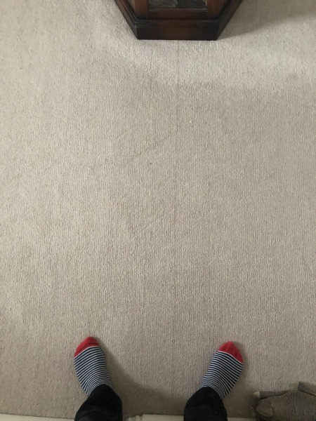 Is this a flaw in my carpet?