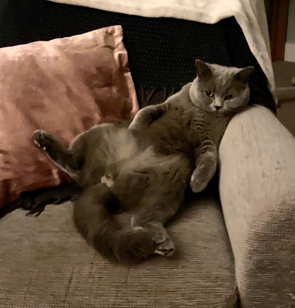 Lifeboat Muster Point for TalkExiles - Thread 2