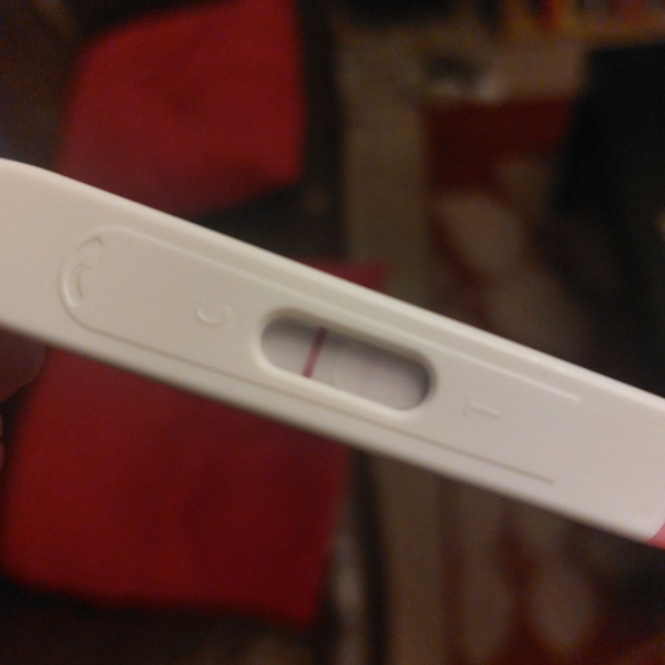 Due August 2023 (Thread 2)