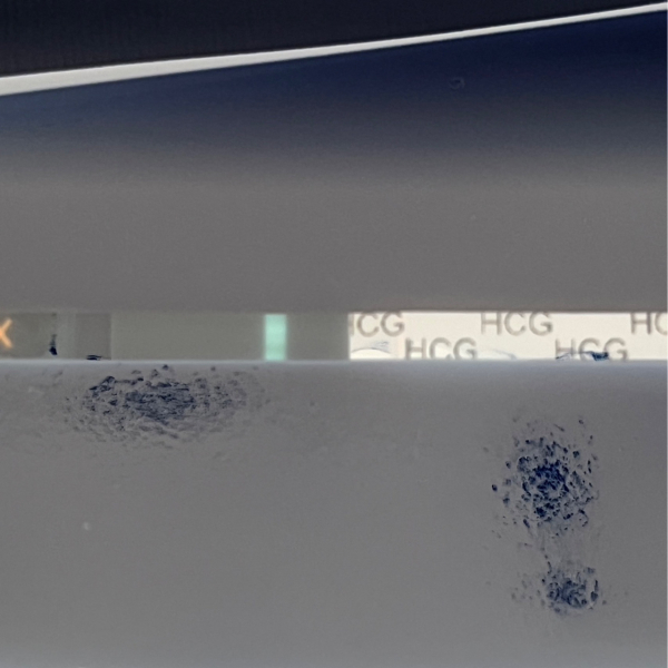 All I want for Christmas is a BFP- TTC September baby 🍁